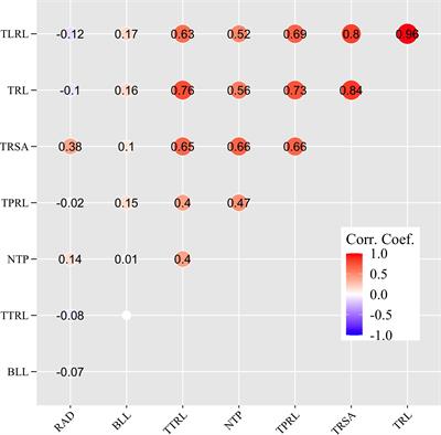 Genome-wide association studies of root system architecture traits in a broad collection of Brassica genotypes